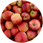 Pile of red apples