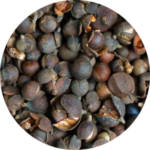 Bowl of dried spices or nuts