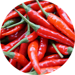 Close-up of red chili peppers