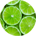 Close-up of sliced limes
