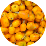 Cluster of ripe yellow fruits