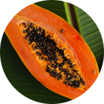 Sliced papaya with seeds on leaf