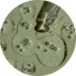 Liquid pouring with bubbles on surface.