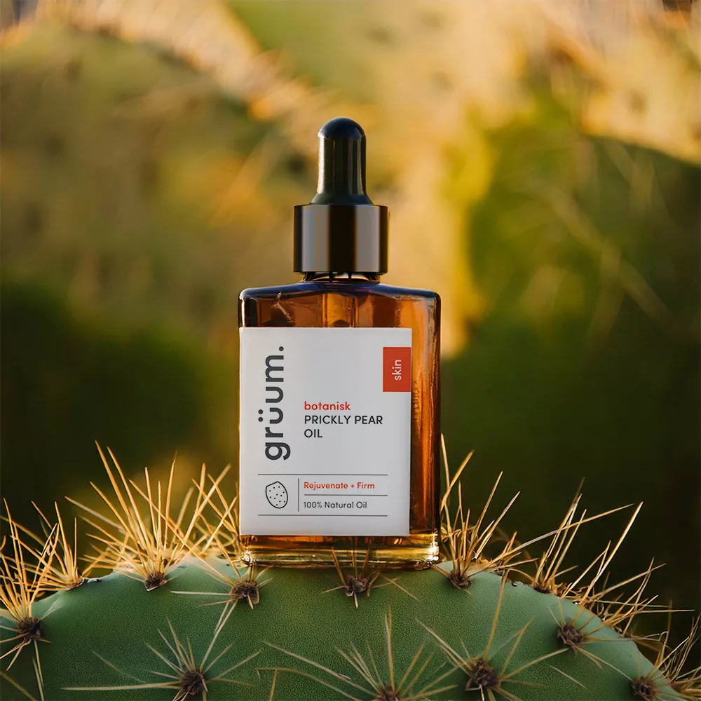 Prickly pear oil on cactus.