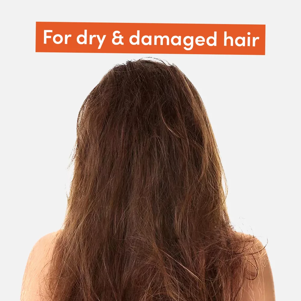 Back view of dry hair